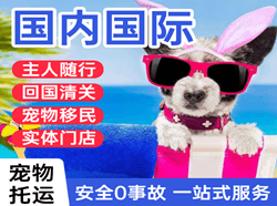 大同机场快递国际宠物托运 【国